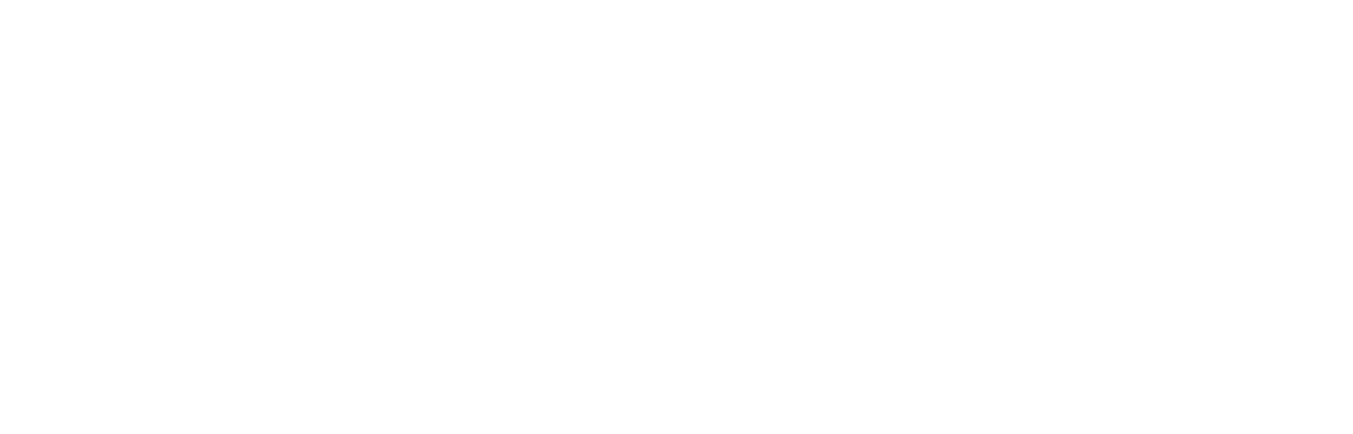 Conectando Hidalgo